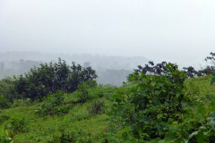 Rain_forst_view_costa_rica-2