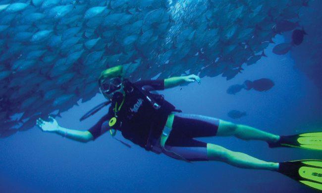 Scuba Diving the Pacific Coast, All You Need To Know