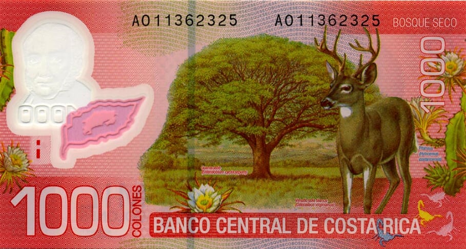 Costa Rica National Symbol of Wildlife